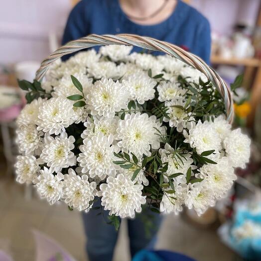 Белоснежные хризантемы