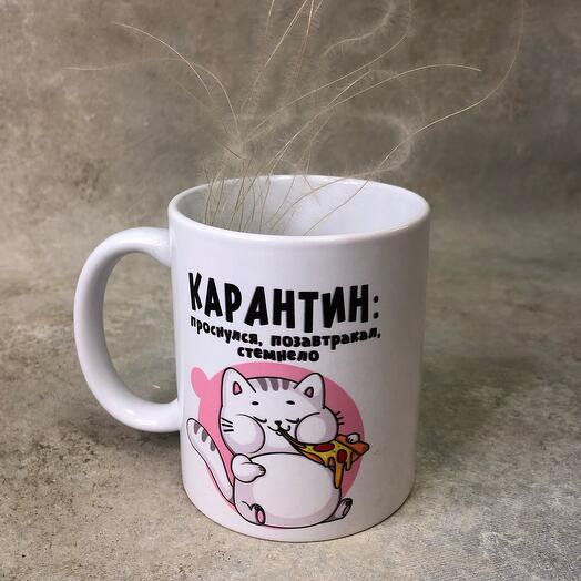 Кружка карантин