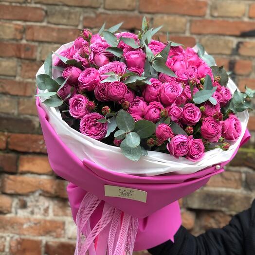 Rosas de peonía arbustiva