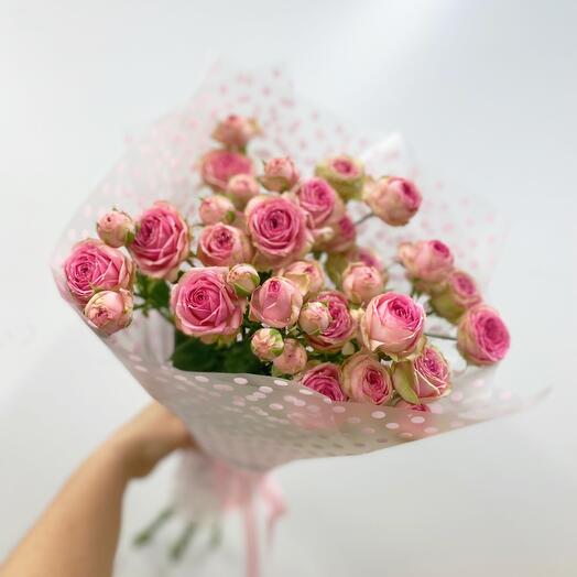 Softness