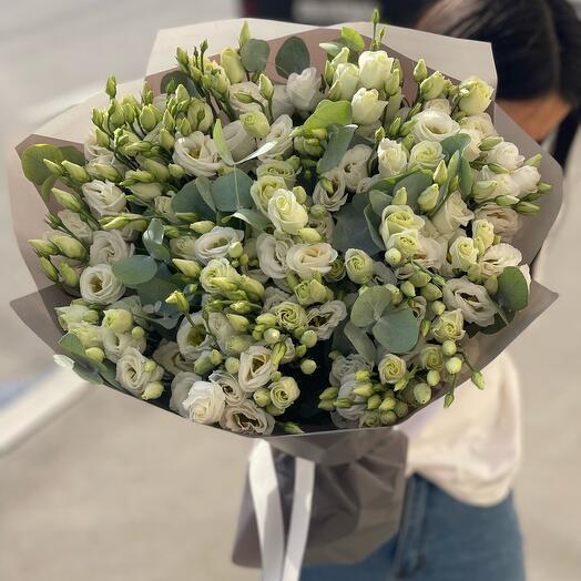 Eustoma