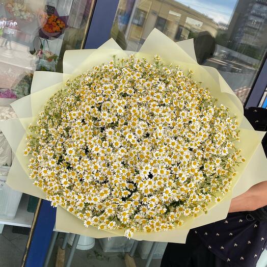 Букет Ромашки 51 шт