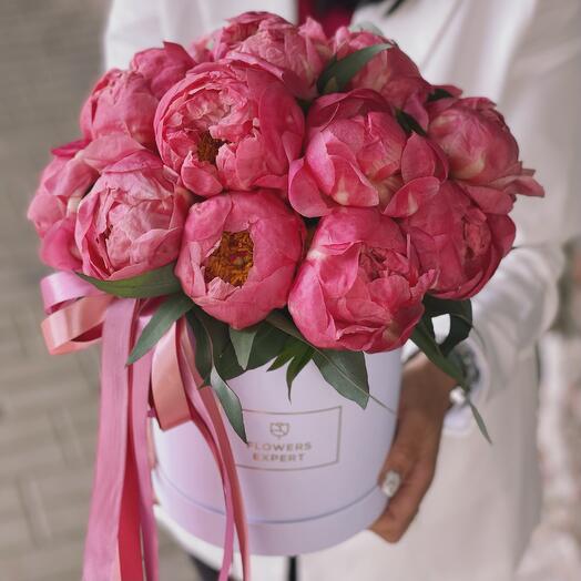 Hatbox of 15 peonies "CORAL LOVE"
