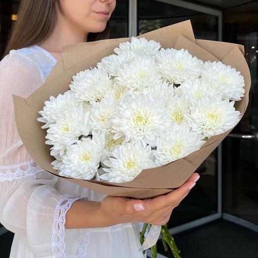 Chrysanthemum Baltic