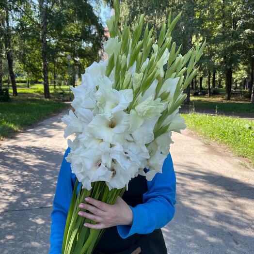 11 gladioli