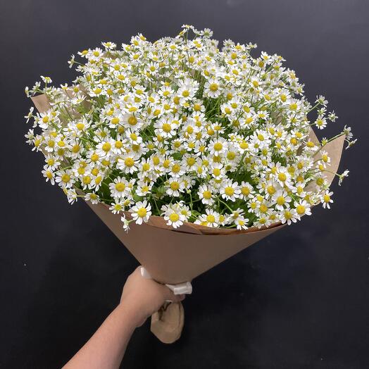 Bouquet of 25 Daisies