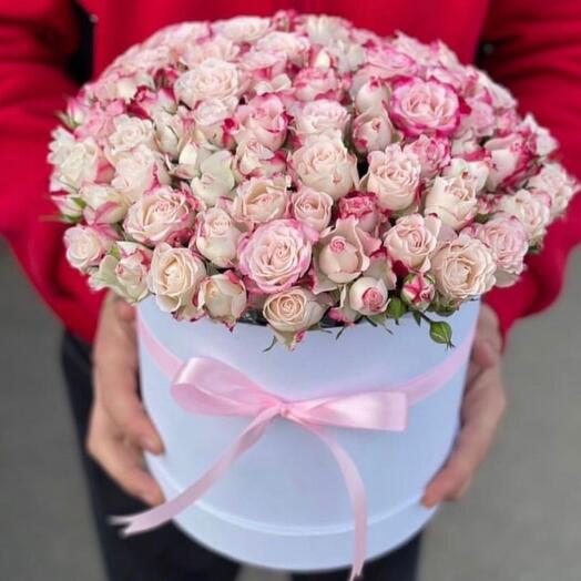 Bush rose in a box