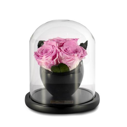 Cherry Bloosoms Preserved Roses in crystal vase Trio