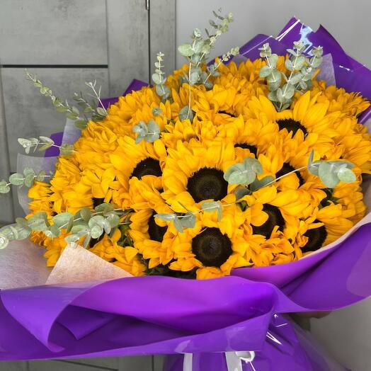 51 sunflower