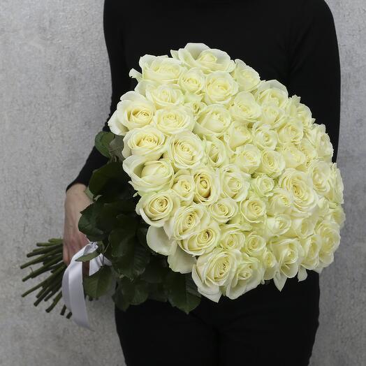 51 white Avalanche roses 80 cm