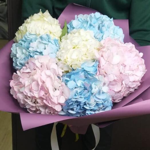 🌺🌺Воздушная гортензия