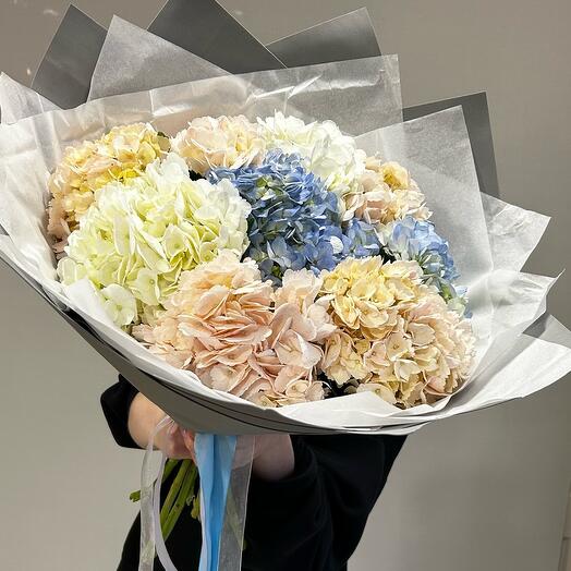 A bouquet of gorgeous hydrangeas in a package. 9 pcs
