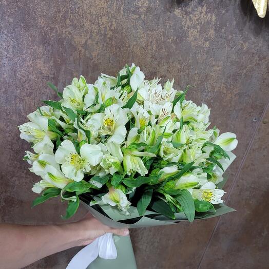 Моно букет " Alstroemeria flowers 2 " (Альстромерия)