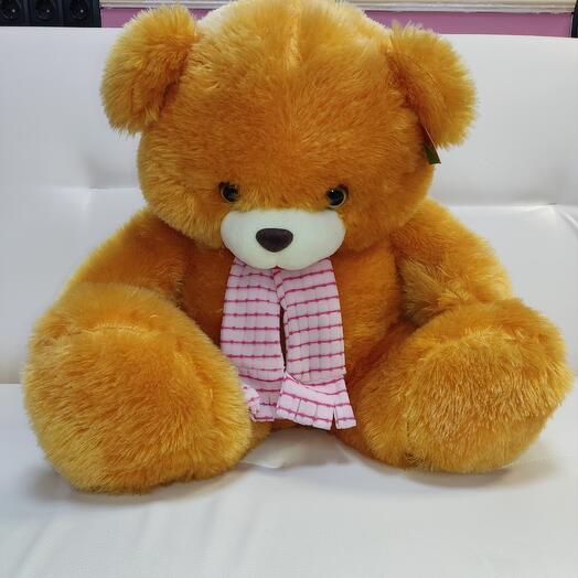 Bear "Tim"