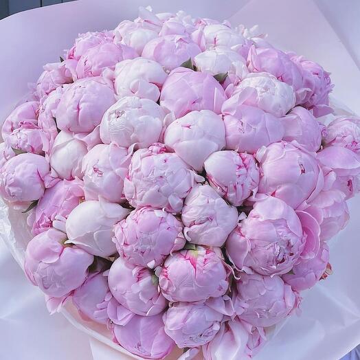 51 peony