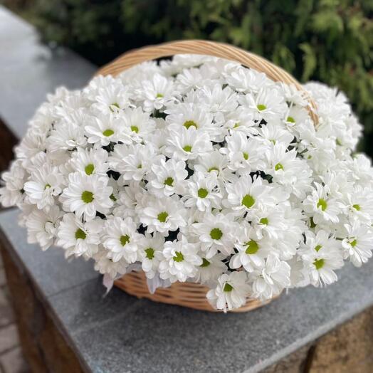 Корзина из кустовых хризантем