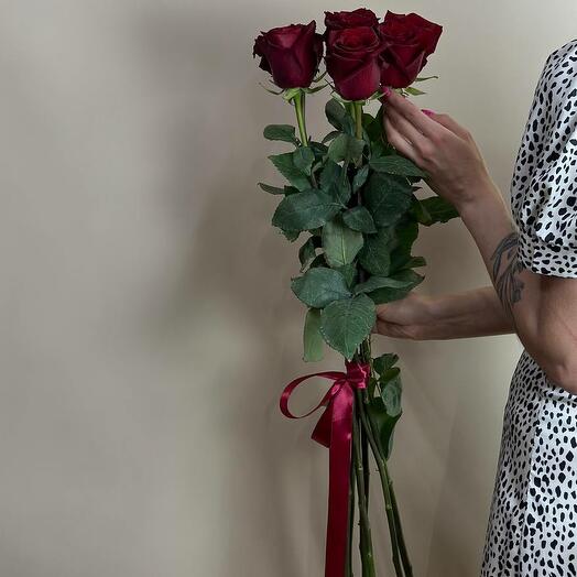Rose 5