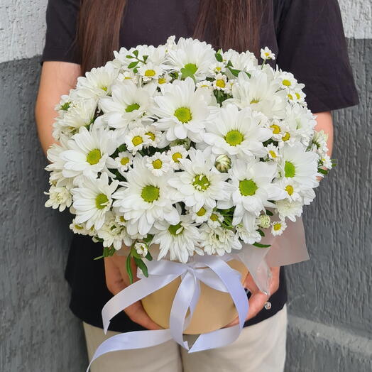 A mix of Chrysanthemums and daisies