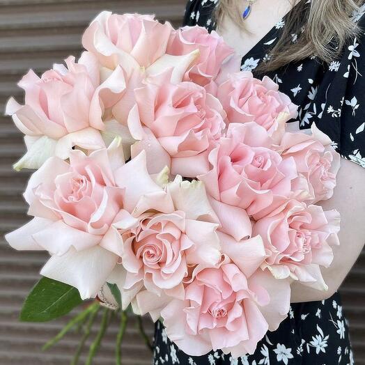 Pink French roses