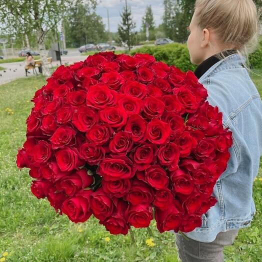 101 роза эквадор 50 см