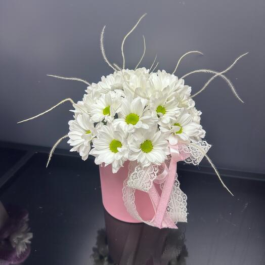 Ромашковые Хризантемы «Любимой»🌸