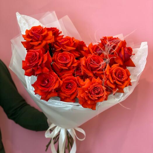 French scarlet rose