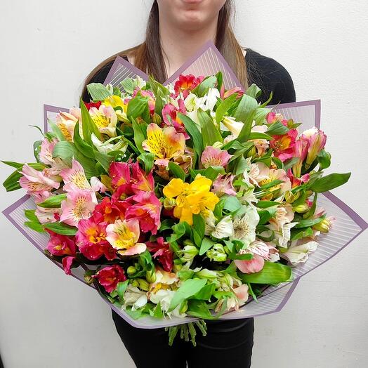 35 alstroemeria brillante 🌈