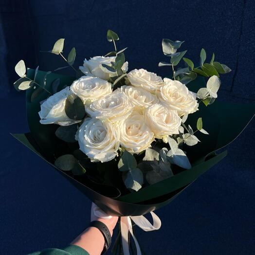 White rose 🤍
