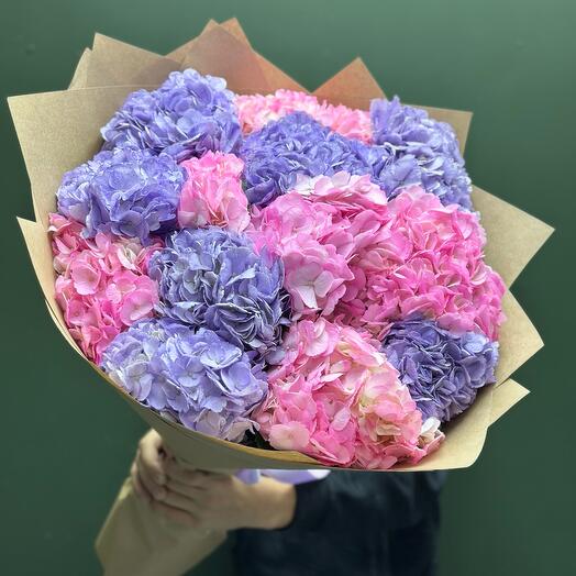 Bouquet of hydrangeas)