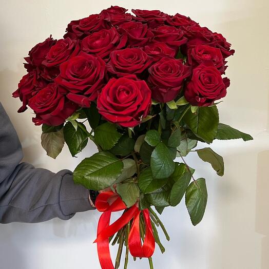 Rosa Roja 🌹