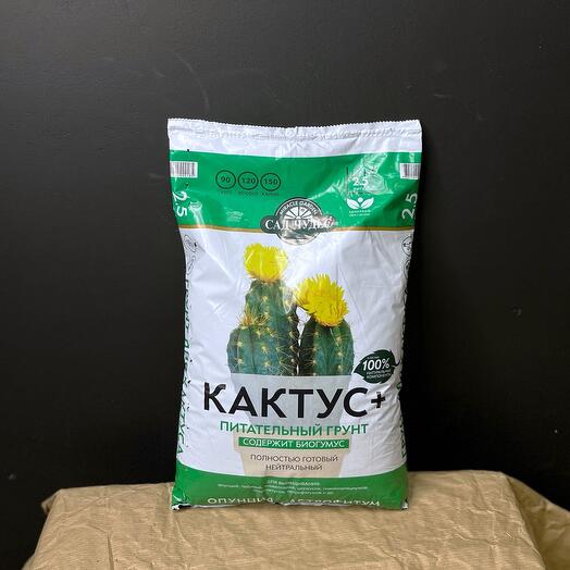 Питательный грунт для кактуса