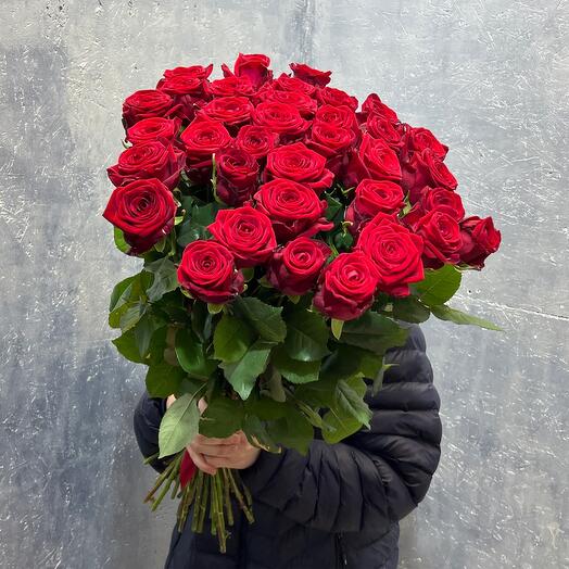 Red Rose 35