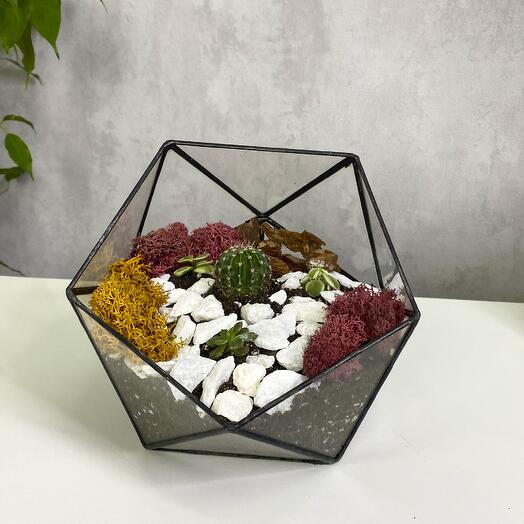 Кактус с тремя суккулентами в флорариуме икосаэдр S (Small, маленький)