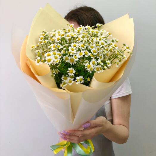Ромашки