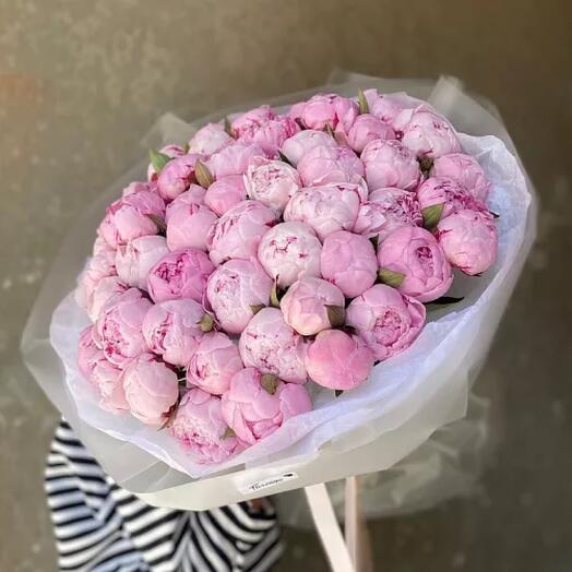 Монобукет из 51 нежного розового пиона💞