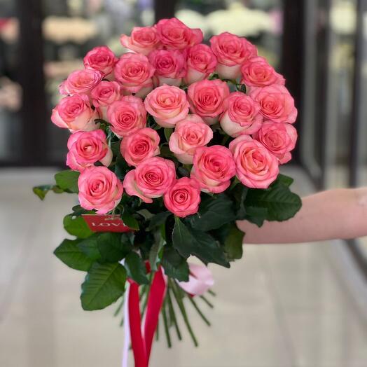 Roses jamilia