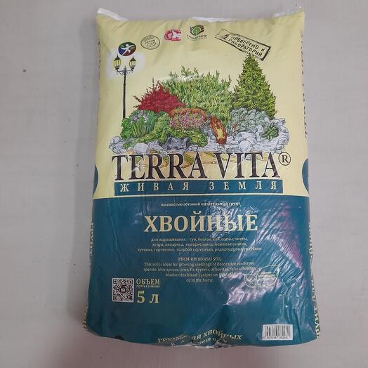 Живая земля,хвойные