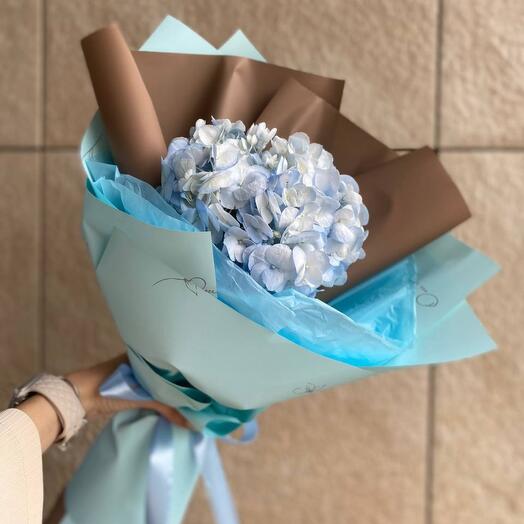 Elogio Hortensia azul