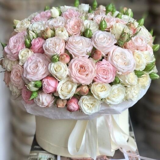 Пионовидные розы в коробке бомбастик