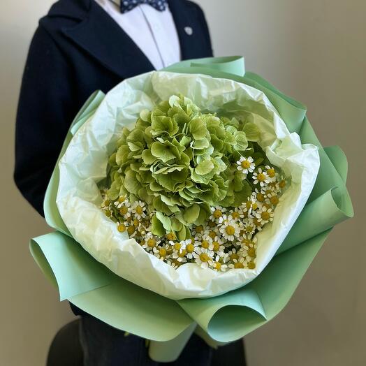 Bouquet with hydrangea and chamomile