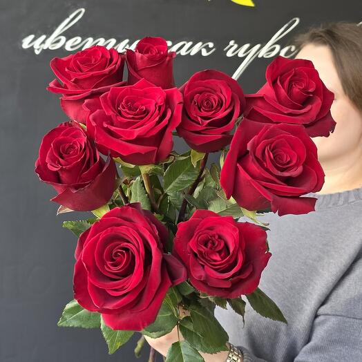 Роза красная крупный бутон 9 шт