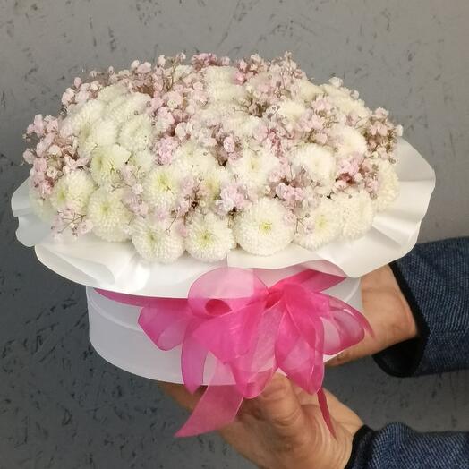 Рафаэлка
