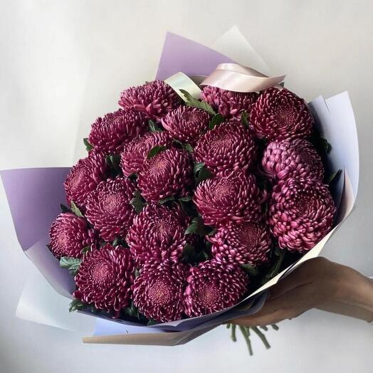 Хризантема бордо