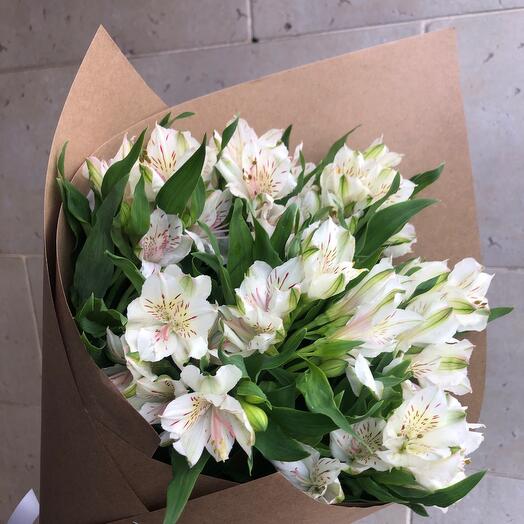 Alstroemeria is white
