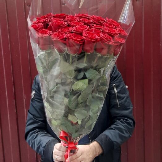 Красные розы 25 штук