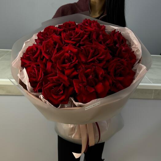 French Bordeaux roses