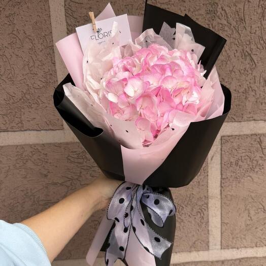Hydrangea is a compliment in a stylish package