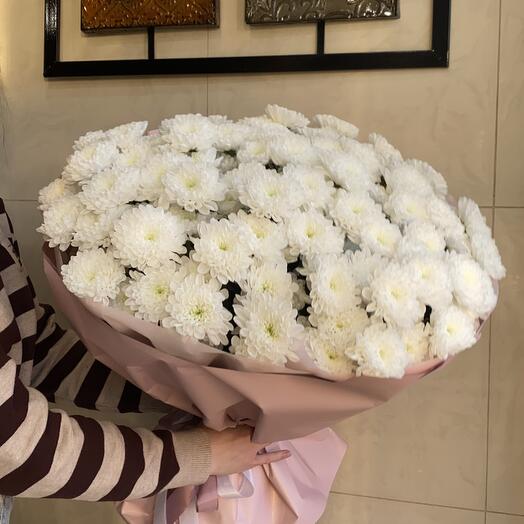 21 bush chrysanthemums