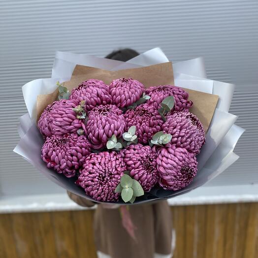 Chrysanthemum curlers are selected