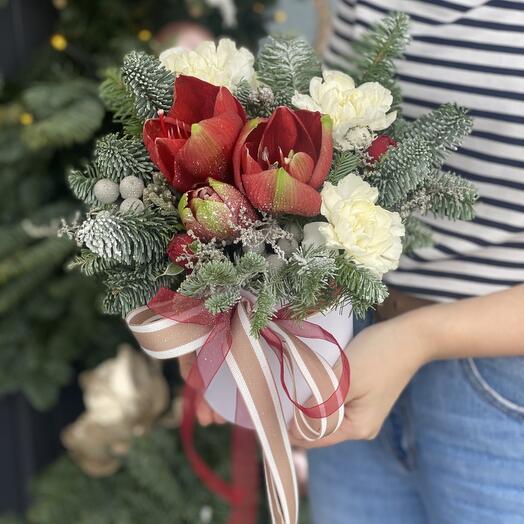 Новогодняя композиция из нобилиса, амариллиса, диантуса и брунии
